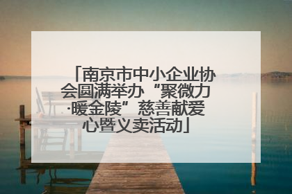南京市中小企业协会圆满举办“聚微力·暖金陵”慈善献爱心暨义卖活动