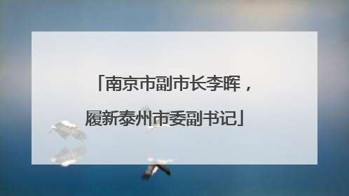 南京市副市长李晖，履新泰州市委副书记