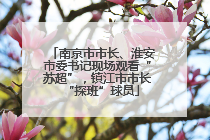 南京市市长、淮安市委书记现场观看“苏超”，镇江市市长“探班”球员