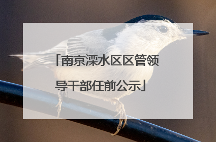 南京溧水区区管领导干部任前公示
