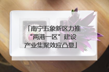 南宁五象新区力推“两港一区”建设 产业集聚效应凸显