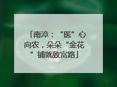 南漳：“医”心向农，朵朵“金花”铺就致富路