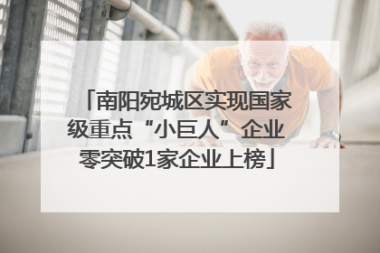 南阳宛城区实现国家级重点“小巨人”企业零突破1家企业上榜