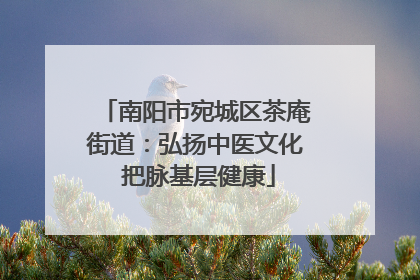 南阳市宛城区茶庵街道：弘扬中医文化 把脉基层健康