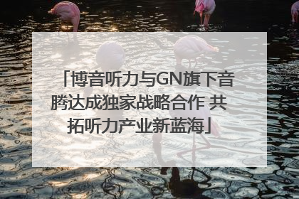 博音听力与GN旗下音腾达成独家战略合作 共拓听力产业新蓝海
