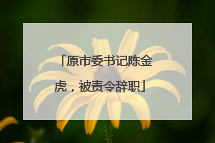 原市委书记陈金虎，被责令辞职