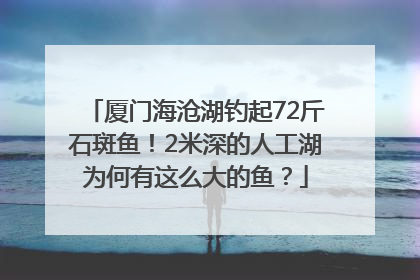厦门海沧湖钓起72斤石斑鱼！2米深的人工湖为何有这么大的鱼？