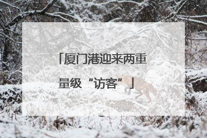 厦门港迎来两重量级“访客”