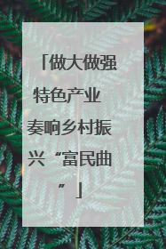 做大做强特色产业 奏响乡村振兴“富民曲”