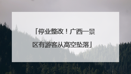 停业整改！广西一景区有游客从高空坠落