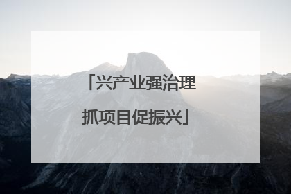 兴产业强治理 抓项目促振兴