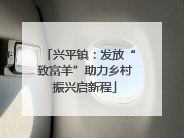 兴平镇：发放“致富羊”助力乡村振兴启新程