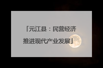 元江县：民营经济推进现代产业发展
