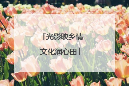 光影映乡情 文化润心田