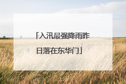 入汛最强降雨昨日落在东华门