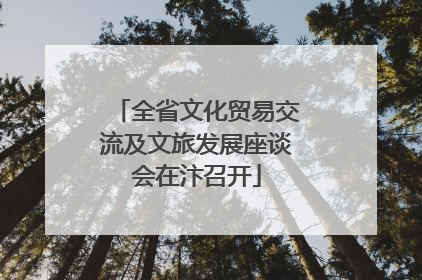 全省文化贸易交流及文旅发展座谈会在汴召开