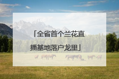 全省首个兰花直播基地落户龙里