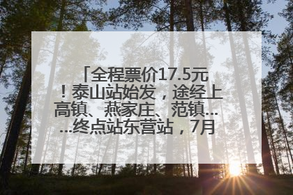 全程票价17.5元！泰山站始发，途经上高镇、燕家庄、范镇……终点站东营站，7月1日开通！