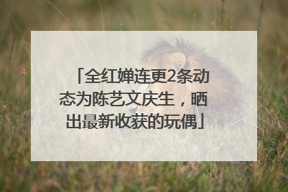 全红婵连更2条动态为陈艺文庆生，晒出最新收获的玩偶
