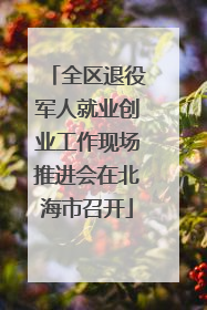 全区退役军人就业创业工作现场推进会在北海市召开
