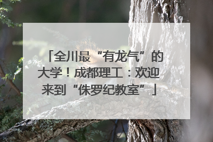 全川最“有龙气”的大学！成都理工：欢迎来到“侏罗纪教室”