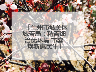兰州市城关区城管局：精管细治优环境 市容焕新惠民生