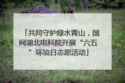 共同守护绿水青山，国网湖北电科院开展“六五”环境日志愿活动