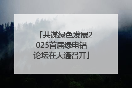 共谋绿色发展2025首届绿电铝论坛在大通召开