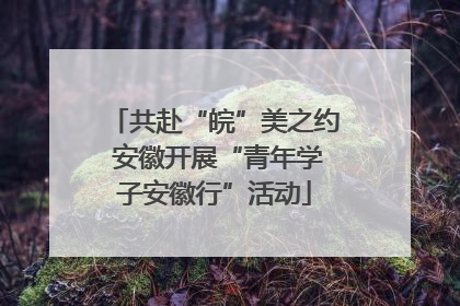 共赴“皖”美之约 安徽开展“青年学子安徽行”活动
