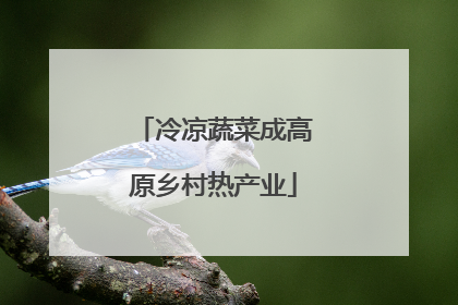 冷凉蔬菜成高原乡村热产业