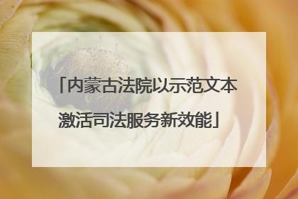 内蒙古法院以示范文本激活司法服务新效能