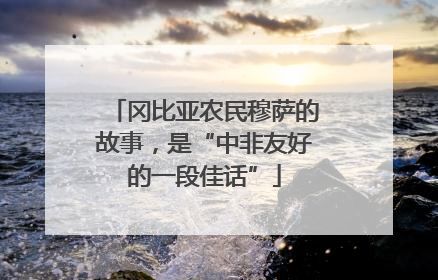 冈比亚农民穆萨的故事，是“中非友好的一段佳话”