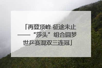 再登顶峰 征途未止——“莎头”组合圆梦世乒赛混双三连冠