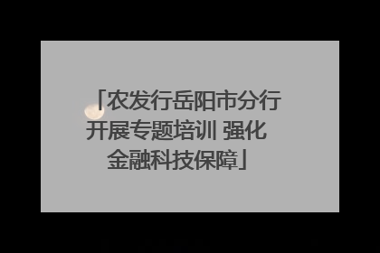 农发行岳阳市分行开展专题培训 强化金融科技保障