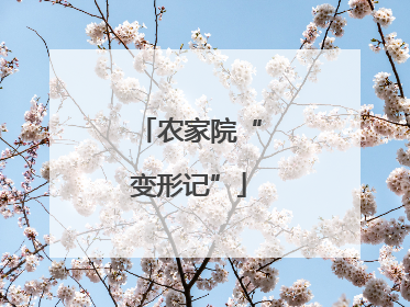 农家院“变形记”