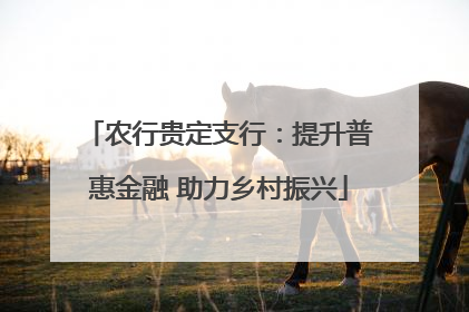 农行贵定支行：提升普惠金融 助力乡村振兴
