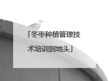 冬枣种植管理技术培训到地头