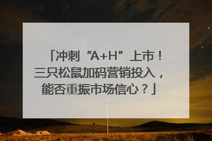 冲刺“A+H”上市！三只松鼠加码营销投入，能否重振市场信心？