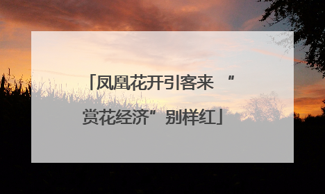 凤凰花开引客来 “赏花经济”别样红