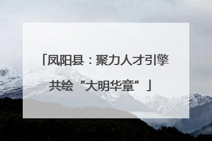 凤阳县：聚力人才引擎 共绘“大明华章”