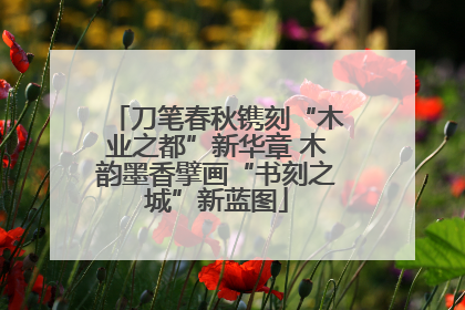 刀笔春秋镌刻“木业之都”新华章 木韵墨香擘画“书刻之城”新蓝图