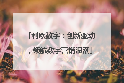 利欧数字：创新驱动，领航数字营销浪潮