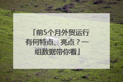 前5个月外贸运行有何特点、亮点？一组数据带你看