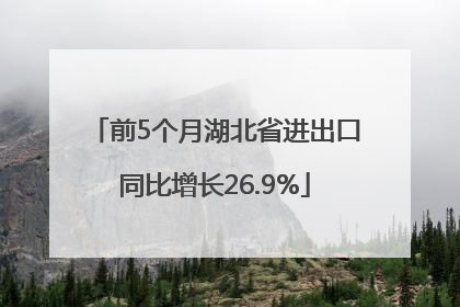 前5个月湖北省进出口同比增长26.9%