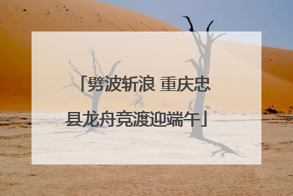 劈波斩浪 重庆忠县龙舟竞渡迎端午