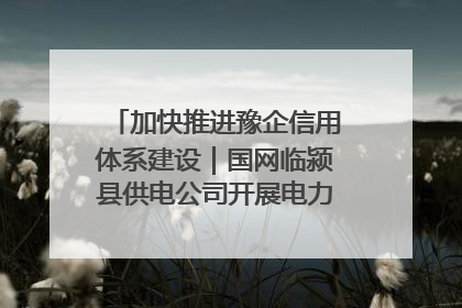 加快推进豫企信用体系建设｜国网临颍县供电公司开展电力行业信用企业现场咨询访谈工作