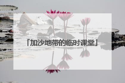 加沙地带的临时课堂