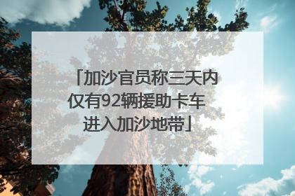 加沙官员称三天内仅有92辆援助卡车进入加沙地带