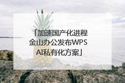 加速国产化进程 金山办公发布WPS AI私有化方案
