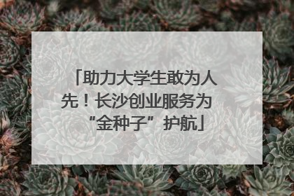 助力大学生敢为人先！长沙创业服务为“金种子”护航